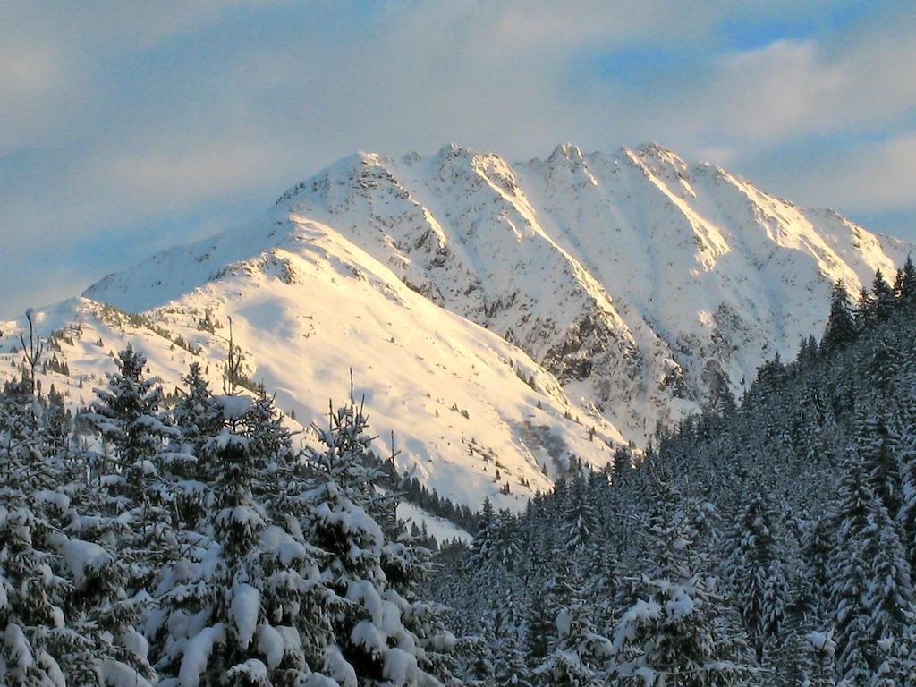 Alpen Glueck Hotel Kirchberger Hof 티롤 키르흐베르크 외부 사진